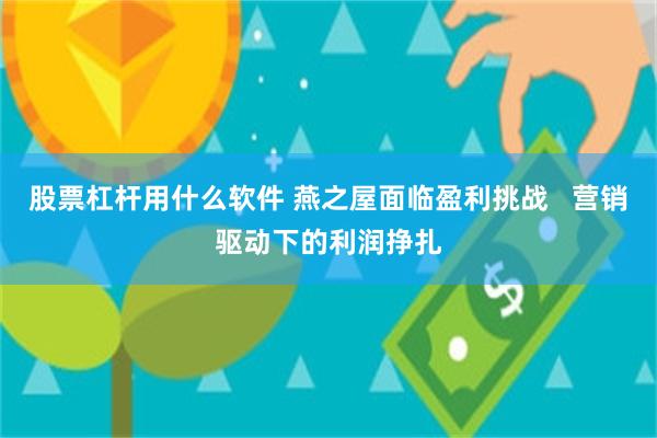 股票杠杆用什么软件 燕之屋面临盈利挑战   营销驱动下的利润挣扎