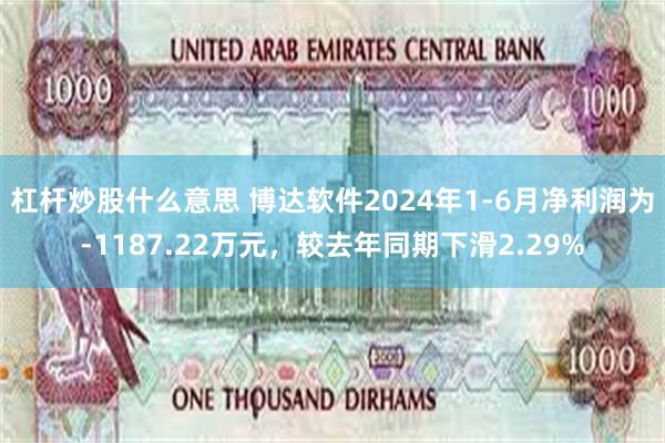 杠杆炒股什么意思 博达软件2024年1-6月净利润为-1187.22万元，较去年同期下滑2.29%