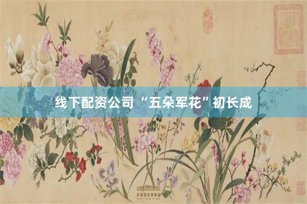 线下配资公司 “五朵军花”初长成