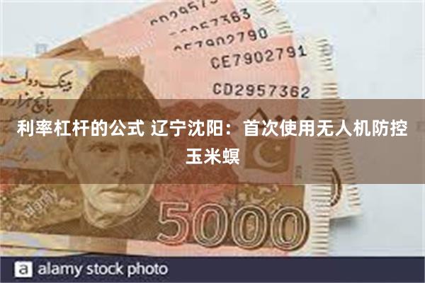 利率杠杆的公式 辽宁沈阳：首次使用无人机防控玉米螟