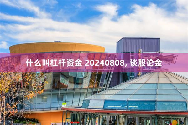 什么叫杠杆资金 20240808, 谈股论金