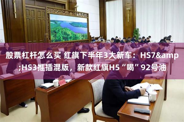 股票杠杆怎么买 红旗下半年3大新车：HS7&HS3推插混版，新款红旗H5“喝”92号油