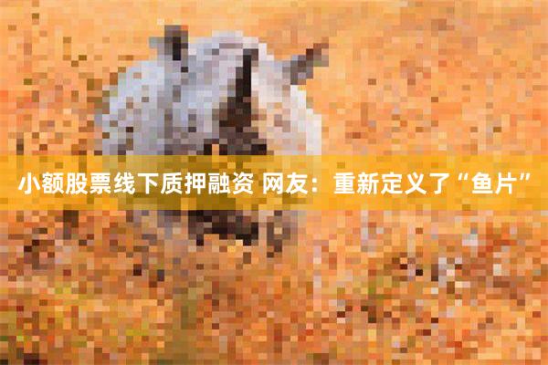 小额股票线下质押融资 网友：重新定义了“鱼片”