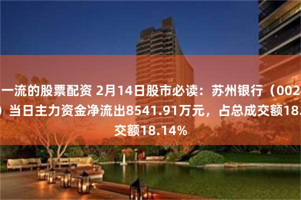 一流的股票配资 2月14日股市必读：苏州银行（002966）当日主力资金净流出8541.91万元，占总成交额18.14%